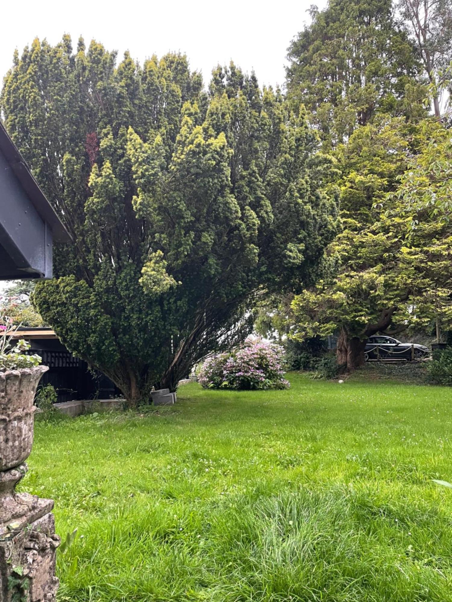 Garden Retreat Wales Llandowror
